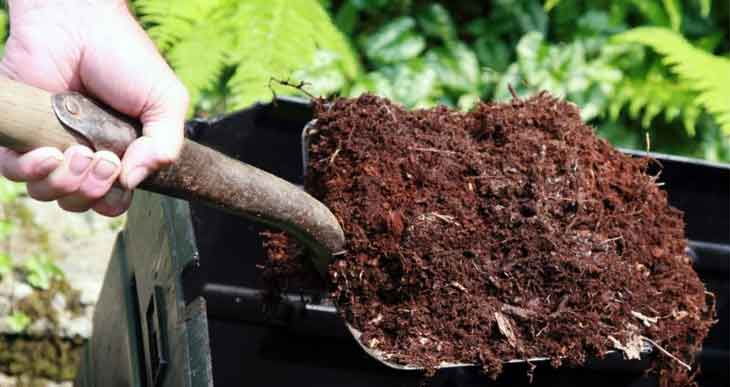 picture of compost material