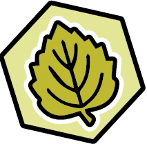 Leaf Icon from Sustainable Salisbury logo